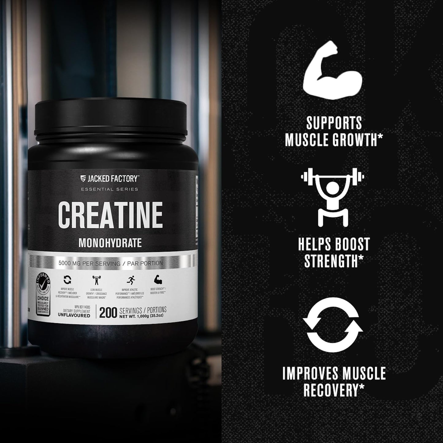 Jacked Factory Creatine Monohydrate Powder 150g - 5g Daily Creatine Supplement for Men and Women, Vegan-Friendly, Third-Party Tested - 30 Servings, Unflavored