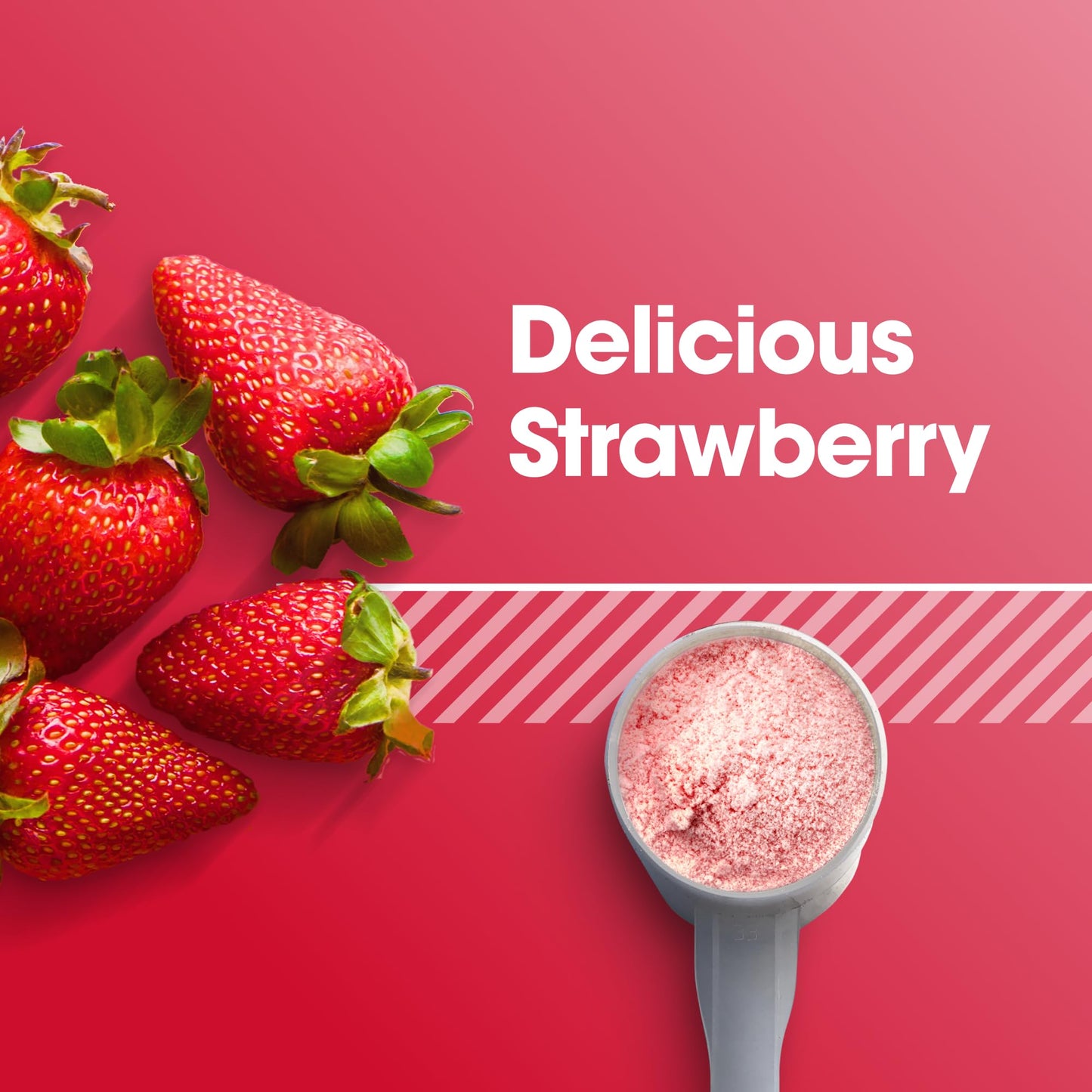 Optimum Nutrition Gold Standard 100% Whey Protein Powder, Vanilla Ice Cream, 1 Pound (Pack of 1)