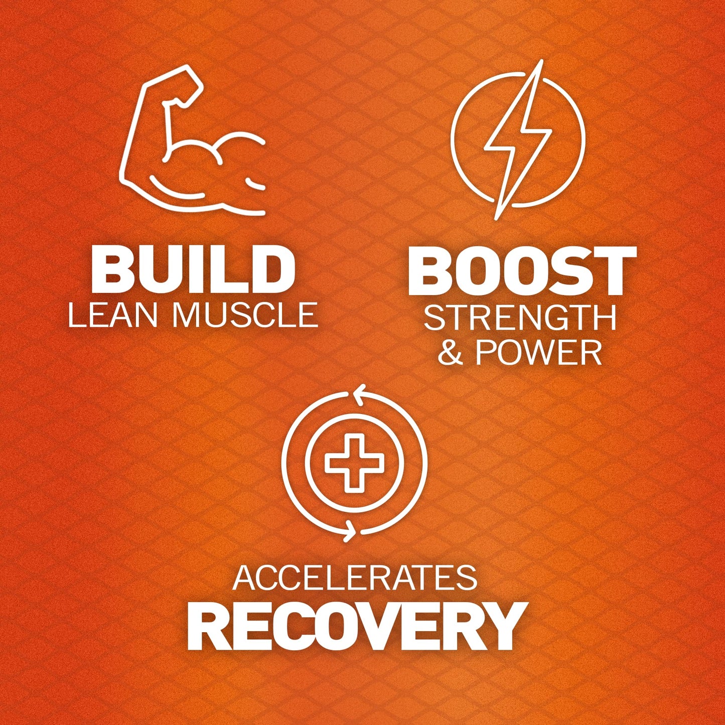 Body Fortress 100% Whey, Premium Protein Powder, Chocolate, 1.78lbs